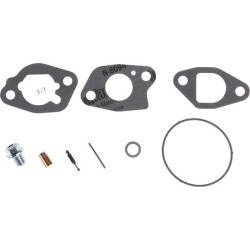 Kit de revision du carburateur BRIGGS ET STRATTON 591770