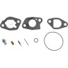 Kit de revision du carburateur BRIGGS ET STRATTON 591770