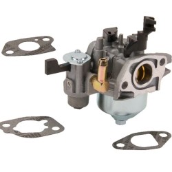 carburateur-briggs-et-stratton-596079