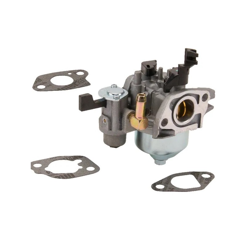 carburateur-briggs-et-stratton-596079