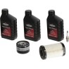 Kit de mise au point modele 31 BRIGGS ET STRATTON 992243