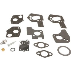 Kit de reparation carburateur BRIGGS ET STRATTON 495606