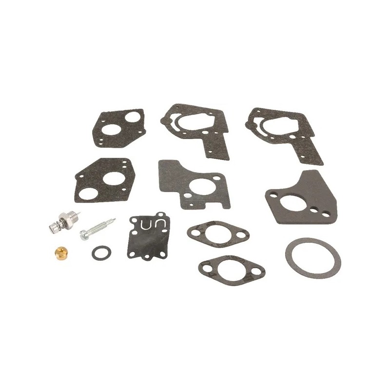 Kit de reparation carburateur BRIGGS ET STRATTON 495606