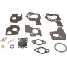 Kit de reparation carburateur BRIGGS ET STRATTON 495606