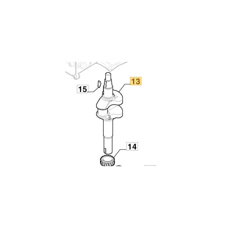 SET MOTORWELLE GGP - CASTELGARDEN - STIGA - ALPINA - MOUNTFIELD 118552535/0