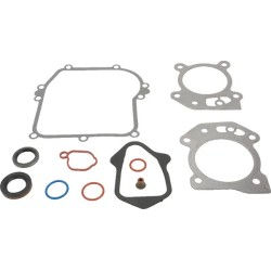 Kit d'etancheite BRIGGS ET STRATTON 595350 - 84006582