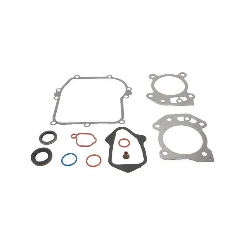 Kit d'etancheite BRIGGS ET STRATTON 595350 - 84006582