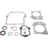 Kit d'etancheite BRIGGS ET STRATTON 595350 - 84006582