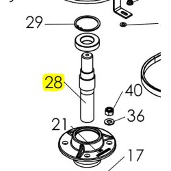 ARBRE COUPELLE L SENIOR PUBERT - STAUB - OLEO MAC 0302010071 - K302000070