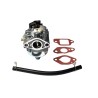 carburateur-honda-gcv170-16100-z1l-003-16100-z9l-811-16100z9l811-16100-z9l-811