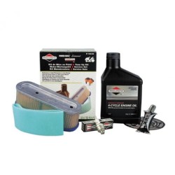 kit-entretien-moteur-briggs-et-stratton-998101-kit-entretien-serie-2528-1112cv-lateral-filtre-a-air-bougie-bidon-huile