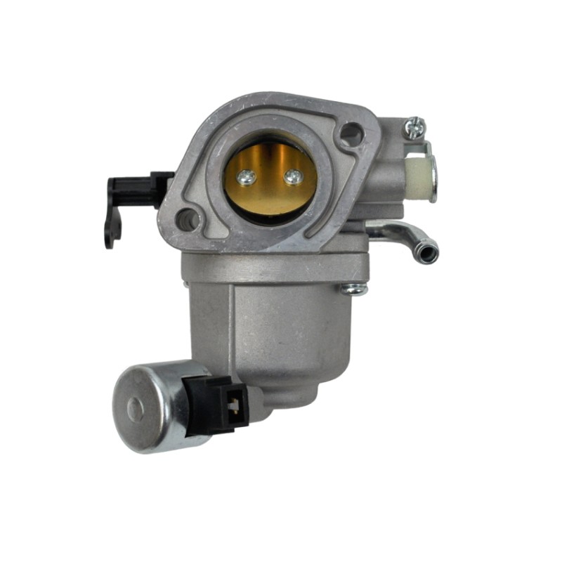 carburateur-moteur-briggs-et-stratton-591678