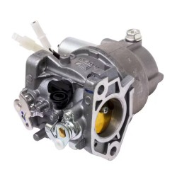 carburateur-moteur-mtd-651-05545-100063944