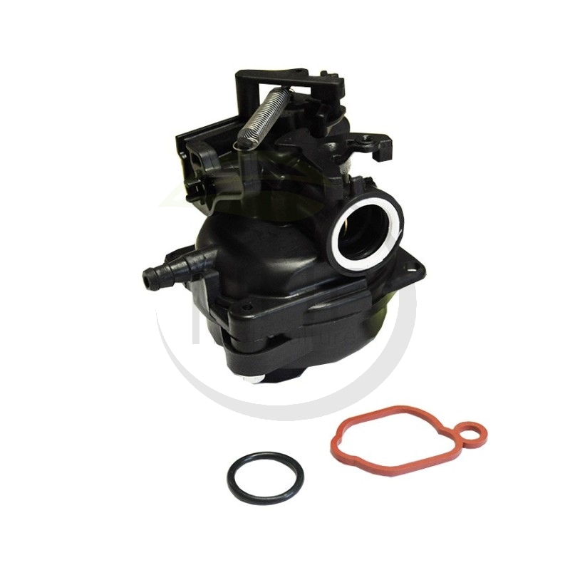 CARBURATEUR MOTEUR BRIGGS ET STRATTON 799584