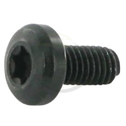 SCREW M6X12 - 1136-1315-01 - 112735662/1 - GGP - CASTELGARDEN - STIGA