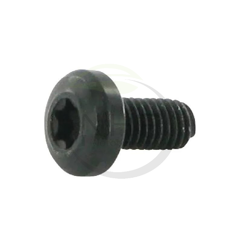 SCREW M6X12 - 1136-1315-01 - 112735662/1 - GGP - CASTELGARDEN - STIGA