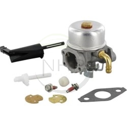 Carburateur moteur BRIGGS ET STRATTON référence 693865 , 694508 , 696981, 697354, 698859, 798653, 698860, 790290, 791077, 795069