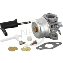 Carburateur moteur BRIGGS ET STRATTON référence 693865 , 694508 , 696981, 697354, 698859, 798653, 698860, 790290, 791077, 795069