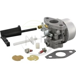 Carburateur moteur BRIGGS ET STRATTON référence 693865 , 694508 , 696981, 697354, 698859, 798653, 698860, 790290, 791077, 795069