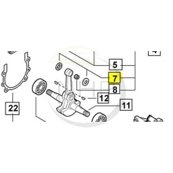 RONDELLE ECHO - SHINDAIWA V307000060