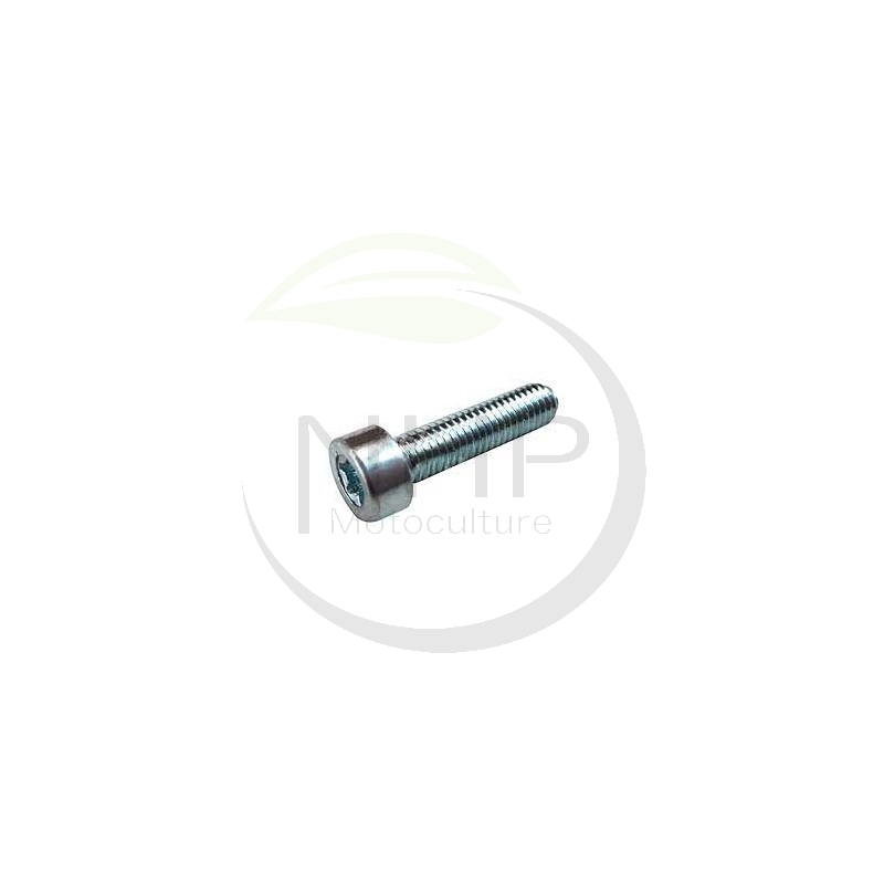 Vis torx m5x20 MAKITA - DOLMAR 266960-8